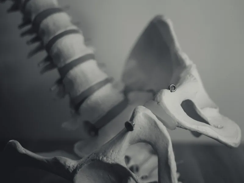 X-Rays at The Lab Chiropractic in Charles